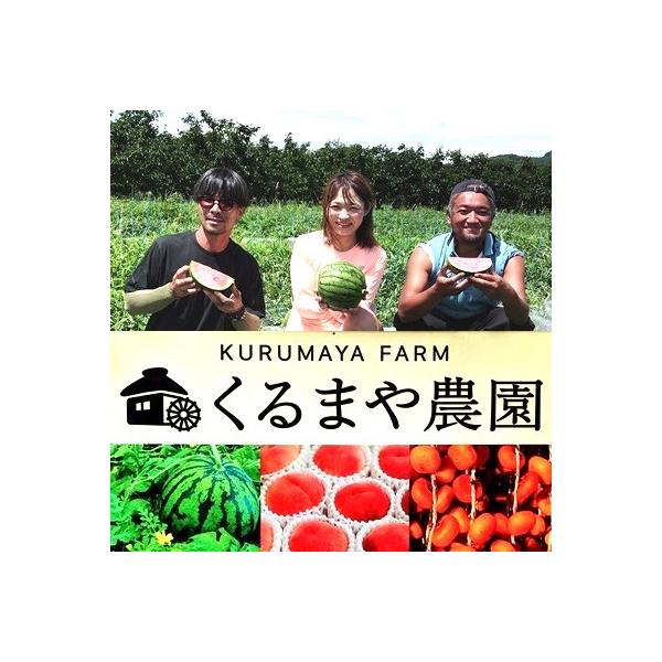 ■お礼品詳細　・配送方法：通常便　・事業者：株式会社くるまや農園■お申し込み・配送・その他　・発送時期：2026年7月下旬〜8月上旬迄※ご不在日が多く配達が困難な場合、お礼品や配送先の変更をお願いする場合がございます。 　・申込受付期間：2...