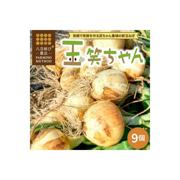 ■お礼品詳細　・内容量：9個(約3kg)　・配送方法：常温　・消費期限：発送日から7日〜10日　・事業者：武ちゃん農場■お申し込み・配送・その他　・発送時期：2026年4月から5月に発送※期間中のお申込みは、決済から3週間程度で発送※不在日...