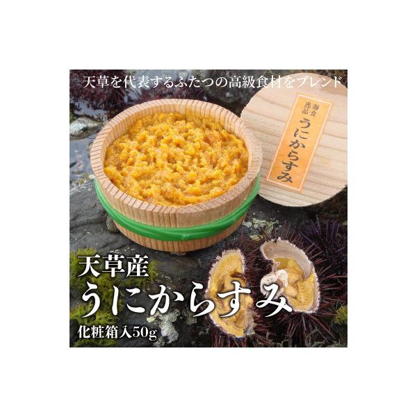 ふるさと納税 天草市 天草産うにからすみ　化粧箱入　50g_S002-008A