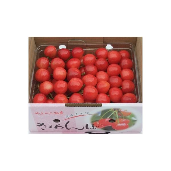 ■お礼品詳細　・配送方法：冷蔵便　・事業者：フルーツ　彩■お申し込み・配送・その他　・発送時期：2026年6月中旬〜6月下旬迄※ご不在日が多く配達が困難な場合、お礼品や配送先の変更をお願いする場合がございます。 　・申込受付期間：2026年...