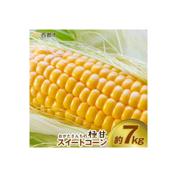 ■お礼品詳細　・内容量：約7kg　15本〜20本　・賞味期限：出荷日より１週間程度（冷蔵庫に保管の上、お早めにお召し上がりください）　・発送方法：冷蔵便　・提供事業者：（株）池商■お申し込み・配送・その他　・発送時期：令和8年5月中旬〜6月...