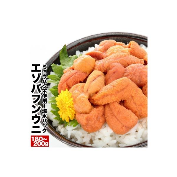 ふるさと納税 根室市 エゾバフンウニ塩水パック90〜100g×2P[11月中旬以降発送] B-81008