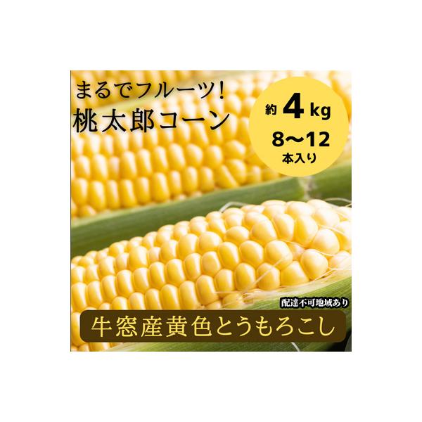 ■お礼品詳細　・内容量：「桃太郎コーン」（瀬戸内市牛窓町鹿忍牛窓産とうもろこし黄色） 約4kg（8〜12本入り）　・賞味期限：出荷日より冷蔵7日　・発送方法：冷蔵配送　・提供事業者：株式会社高田農園　・備考：本数の指定、お届け日の指定、時間...
