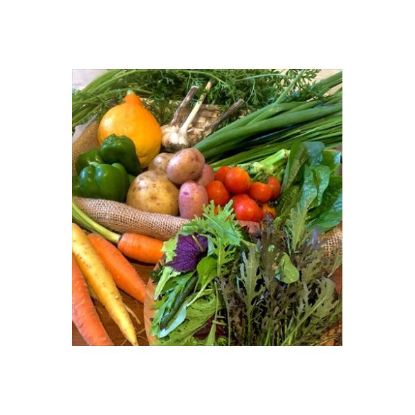 ■お礼品詳細　・内容量：季節のお野菜10品目セット※お野菜ラインナップはお品説明文に記載。　・配送方法：冷蔵便　・賞味期限：出荷日から1週間以内 ※到着後はお早めにお召し上がりください。　・アレルギー：特定原材料8品目は使用していません  ...