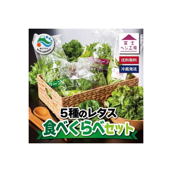 ■お礼品詳細　・配送方法：冷蔵便■お申し込み・配送・その他　・発送時期：入金確認後から3週間程度で発送予定(土日祝お盆年末年始を除く)　・申込受付期間：通年可　・配達外のエリア：　・寄付証明書の送付時期目安：申込完了日から２週間程度　・提供...