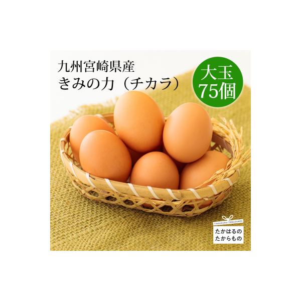 ふるさと納税 高原町 宮崎県産『きみの力(チカラ)』L玉75個　TF406