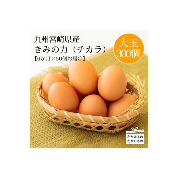 ふるさと納税 高原町 『卵の定期便』年6回計300個《大玉の赤たまご》宮崎県産きみの力(チカラ)Lサイズ　TF448