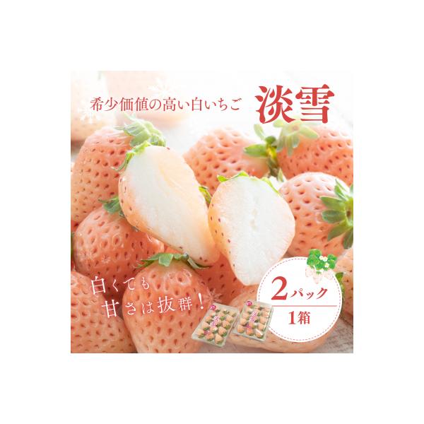 ふるさと納税 豊後高田市 【先行受付】白いちご「淡雪」・2パック入×1箱