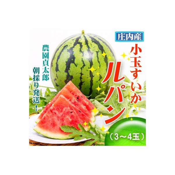 ■お礼品詳細　・内容量：小玉スイカ(3〜4玉)　・配送方法：通常　・賞味期限：出荷日から7日(カット後はお早めにお召し上がりください。)　・配送時期：2026年7月下旬以降順次発送予定　・注意事項：※配送予定時期にご住所が変わる場合や、長期...