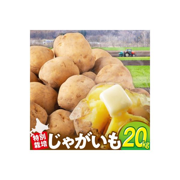 ■お礼品詳細　・容量：10kg×2箱　・賞費期限：30日程度　・配送方法：通常便■お申し込み・配送・その他　・発送時期：2026年12月上旬頃〜2027年2月上旬頃　・申込受付期間：2027年2月下旬まで　・配達外のエリア：　・寄付証明書の...