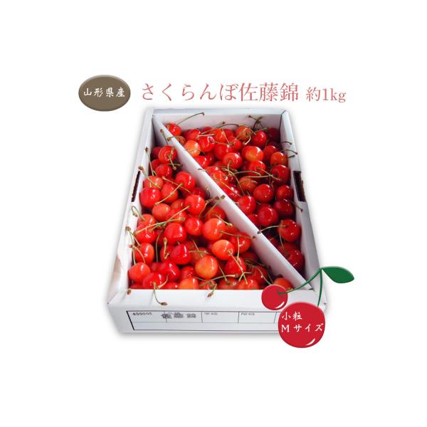 ふるさと納税 長井市 【期間限定】【2026年発送】「秀品」さくらんぼ佐藤錦1kg(M玉・バラ詰)_H036(R8)-2