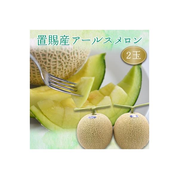 ふるさと納税 長井市 【期間限定・R8発送】置賜産マスクメロン(アールスメロン)約1.75kg〜2.0kg×2玉_H136