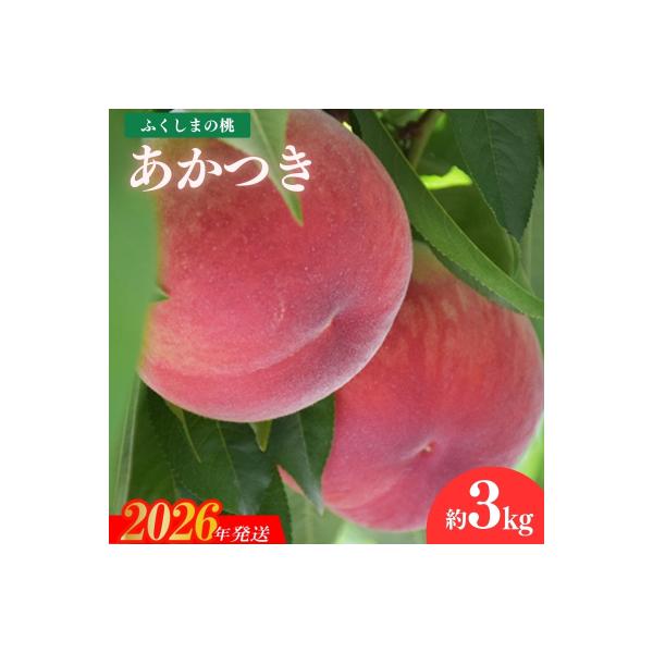 ■お礼品詳細　・事業者：すずき果樹園　・内容量：あかつき3kg(8〜11玉)　・賞味期限：発送日+３日程度　・配送方法：通常便　・アレルギー：もも■お申し込み・配送・その他　・発送時期：2026年7月下旬から2026年8月上旬発送予定（お届...