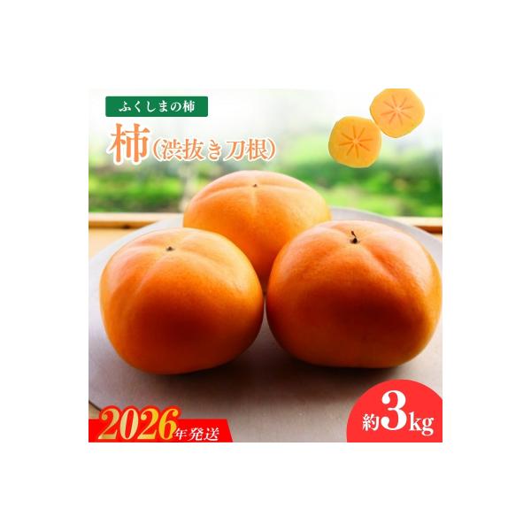 ふるさと納税 福島市 福島の柿「渋抜き柿」(刀根早生又は平たねなし)約3kg【2026年発送 先行受付】No.1205