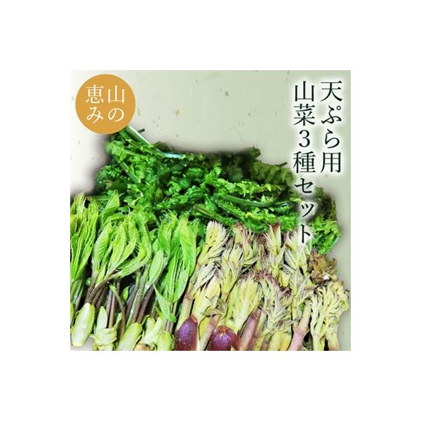 ■お礼品詳細　・容量：たらの芽:約100g、こしあぶら:約50g、こごみ:約500g　・賞味期限：発送日から3日程度　・アレルギー：特定原材料等28品目は使用しておりません　・配送：冷蔵　・協力事業者：長井中央青果■お申し込み・配送・その他...