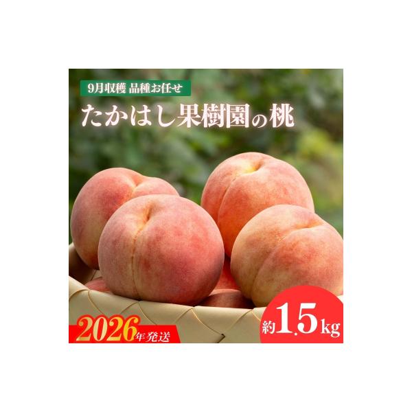 ■お礼品詳細　・事業者：たかはし果樹園　・内容量：約1.5kg　・賞味期限：発送日+3日程度　・配送方法：冷蔵便　・アレルギー：もも■お申し込み・配送・その他　・発送時期：2026年9月上旬から2026年9月下旬発送予定（お届け時間帯指定可...