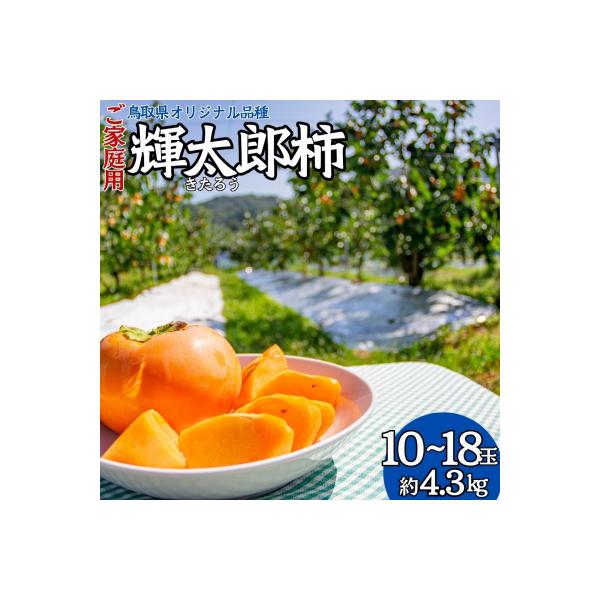 ふるさと納税 湯梨浜町 輝太郎柿10〜18玉〔ご家庭用〕(22M.)