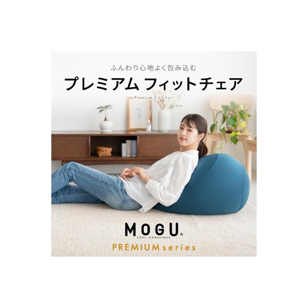 ふるさと納税 加西市 【9月30日受付終了】MOGU プレミアム フィットチェア ディープブルー[No5698-7727]