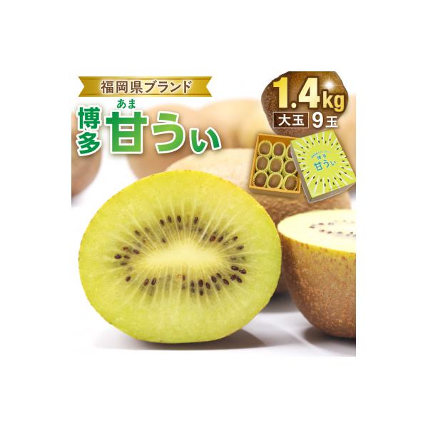 ■お礼品詳細　・配送不可地域：配送会社の配送不可地域　・内容量：キウイフルーツ「博多甘うぃ」1箱約1.4kg　・消費期限：発送より冷蔵で7日程度　・配送方法：冷蔵　・のし対応：不可　・事業者：JAむなかた農産物直売所「ほたるの里」:福岡県宗...