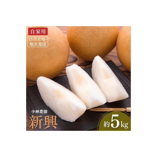 ふるさと納税 三条市 先行予約 和梨 新興 自家用 約5kg [11月上旬から発送予定] [小林農園] 【010P075】