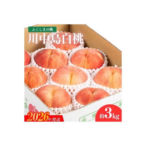 ■お礼品詳細　・事業者：株式会社幸青果　・内容量：約３ｋｇ　・賞味期限：出荷日+5日、到着後お早めに　・配送方法：冷蔵便　・アレルギー：もも■お申し込み・配送・その他　・発送時期：2026年8月中旬から2026年8月下旬順次発送予定（お届け...