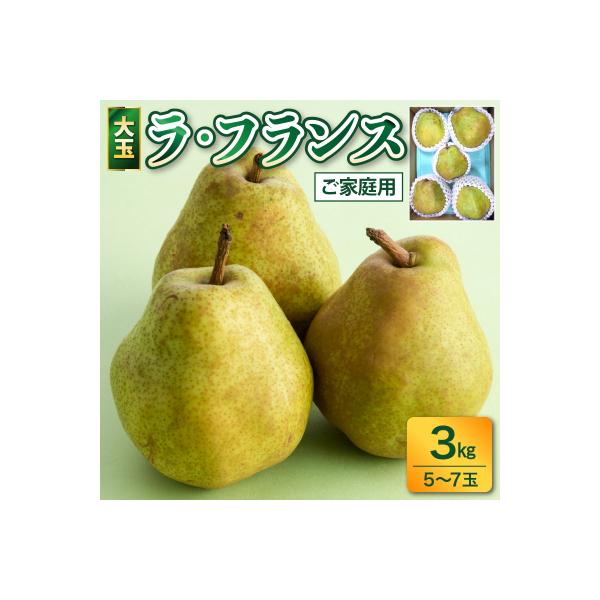 ふるさと納税 上山市 ラフランス 3kg 大玉 ご家庭用 5玉~7玉 7L~5L 西洋梨 ラ・フランス 0017-2616