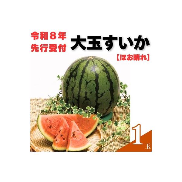 ■お礼品詳細　・原材料：スイカ（品種：ほお晴れ）※種の少ない品種　・原料原産地：高知県奈半利町　・内容量：１玉（大玉８〜12kg）　・賞味期限：常温にて７日程度　・事業者名：山中農園　・配送方法：常温にて発送■お申し込み・配送・その他　・発...