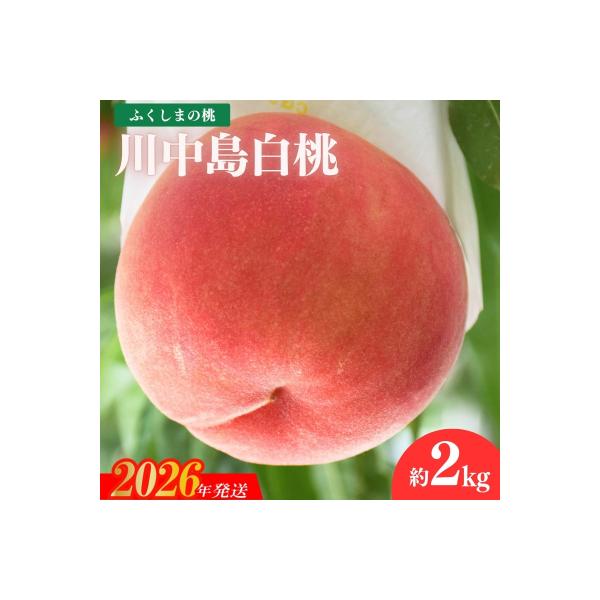 ■お礼品詳細　・事業者：佐藤果樹園_中野　・内容量：約2kg　・賞味期限：発送日+4日程度※生もの(果物)ですので、できるだけお早めにお召し上がり下さい。　・配送方法：通常便　・アレルギー：もも■お申し込み・配送・その他　・発送時期：202...