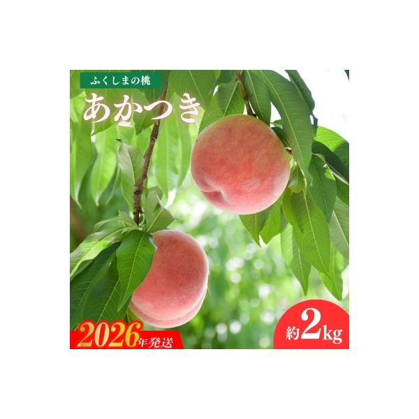 ■お礼品詳細　・事業者：佐藤果樹園_中野　・内容量：約2kg　・賞味期限：発送日+4日程度※生もの(果物)ですので、できるだけお早めにお召し上がり下さい。　・配送方法：通常便　・アレルギー：もも■お申し込み・配送・その他　・発送時期：202...