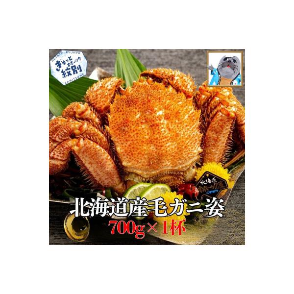 ふるさと納税 紋別市 【訳あり】北海道産毛ガニ　700g×1杯★