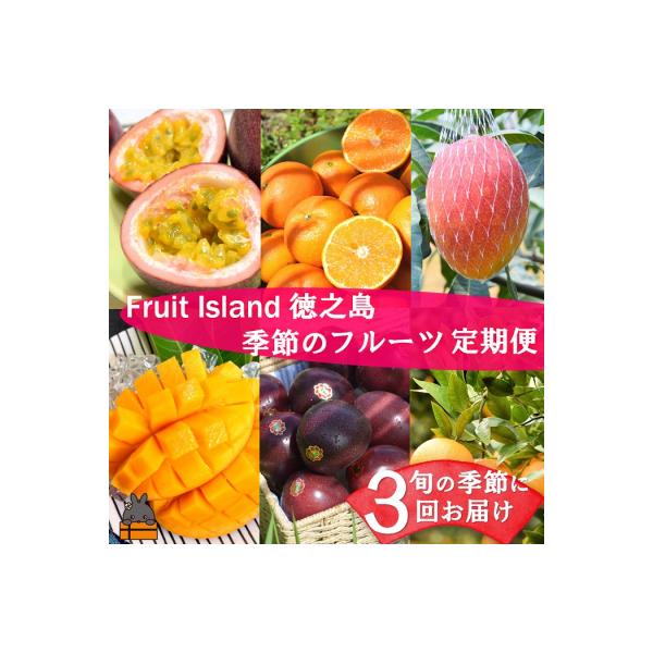 ■お礼品詳細　・配送方法：常温・冷蔵配送■お申し込み・配送・その他　・発送時期：記載している旬の時期に、町内の農家さんから直送でお届けします。※天候により若干期間が変わる可能性がございます。※複数回申し込まれた際でも、収穫状況によりまとめて...