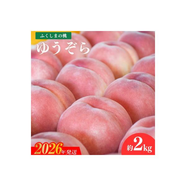 ■お礼品詳細　・事業者：ヤマ孝 紺野果樹園　・内容量：約2kg(6〜7玉)　・賞味期限：発送日+3日程度　・配送方法：冷蔵便　・アレルギー：もも■お申し込み・配送・その他　・発送時期：2026年8月下旬から2026年9月上旬発送予定（お届け...