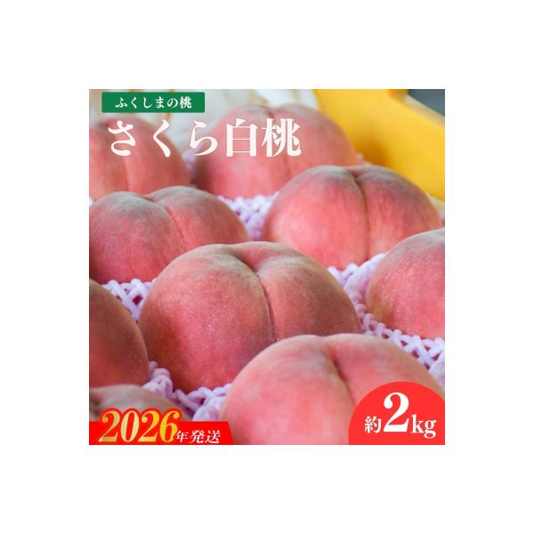 ■お礼品詳細　・事業者：ヤマ孝 紺野果樹園　・内容量：約2kg(6〜7玉)　・賞味期限：発送日+7日程度　・配送方法：冷蔵便　・アレルギー：もも■お申し込み・配送・その他　・発送時期：2026年9月中旬発送予定（お届け時間帯指定可）　・申込...