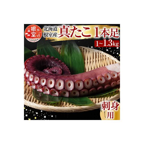 ふるさと納税 根室市 【北海道根室産】真たこ1本足1〜1.3kg A-19004