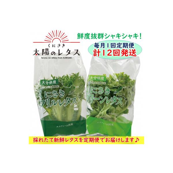 ■お礼品詳細　・容量：グリーンレタス×6袋、フリルレタス×6袋(計12袋 / 1回分)×計12回　・消費期限：製造日から冷蔵で10日間　・配送方法：冷蔵　・事業者：株式会社 エコファーム国東■お申し込み・配送・その他　・発送時期：寄附金納付...