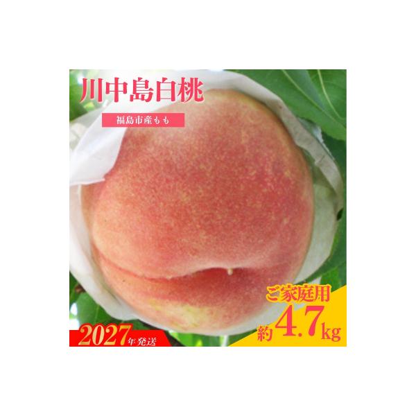 ふるさと納税 福島市 もも「川中島白桃」ご家庭用　約4.7kg【2027年発送　先行予約】No.2350