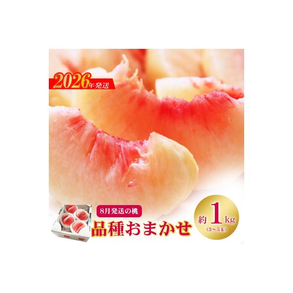 ■お礼品詳細　・事業者：有限会社菅野房吉商店　・内容量：品種お任せ約1kg（3〜5玉入）　・賞味期限：発送日+3日程度　※お早めにお召し上がり下さい　・配送方法：冷蔵便　・アレルギー：もも■お申し込み・配送・その他　・発送時期：2026年8...