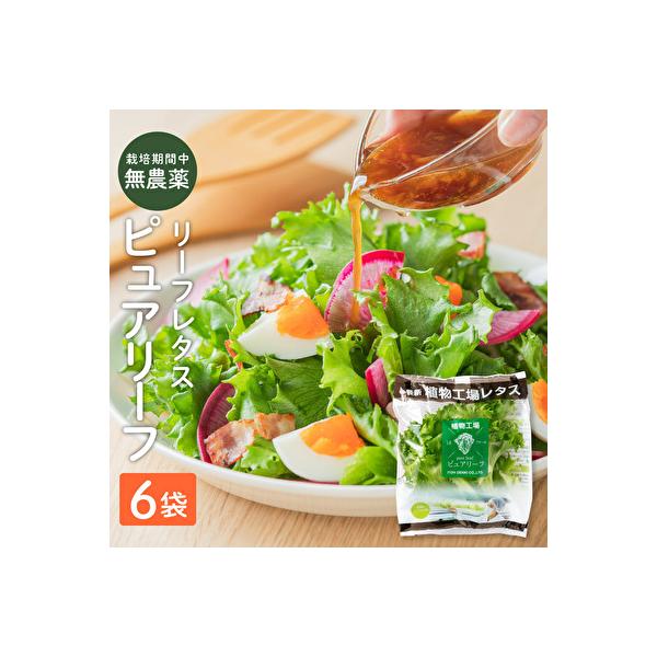 ■お礼品詳細　・配送不可地域：北海道，沖縄県，離島　・配送方法：冷蔵配送　・賞味期限：発送日より冷蔵約7日　・事業者名：伊東電機株式会社■お申し込み・配送・その他　・発送時期：ご入金より1ヶ月以内にお届け　・申込受付期間：通年　・配達外のエ...