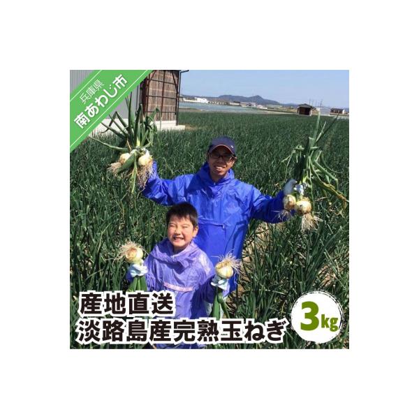 ■お礼品詳細■お申し込み・配送・その他　・発送時期：例年5月中旬から12月頃までの発送となります。※生鮮品のため、到着後は箱から出して保存し、お早めにお召し上がりください。※消費期限経過後に傷み等のご連絡をいただいた場合、返品・交換はご対応...