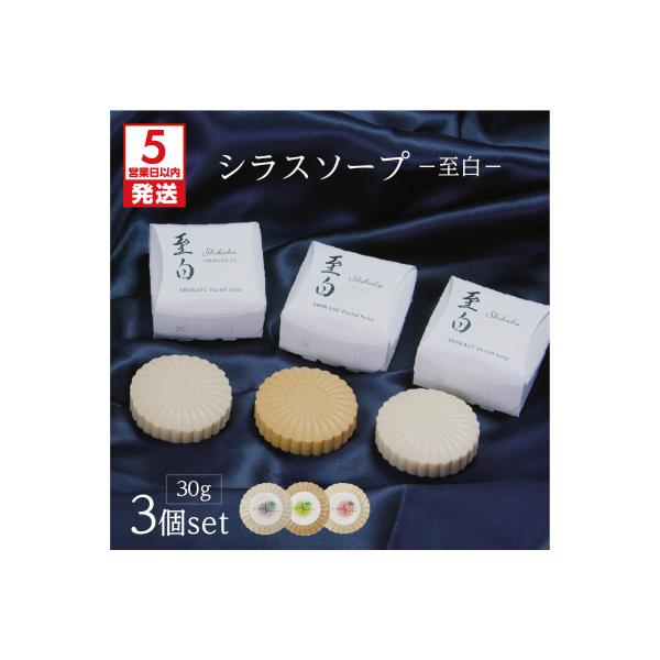 シラス石鹸、オールインワンゲル90g2 ×2、4個セット ふるさと納税 鹿児島市 【5営業日以内に発送】シラスソープ至白30g 3種
