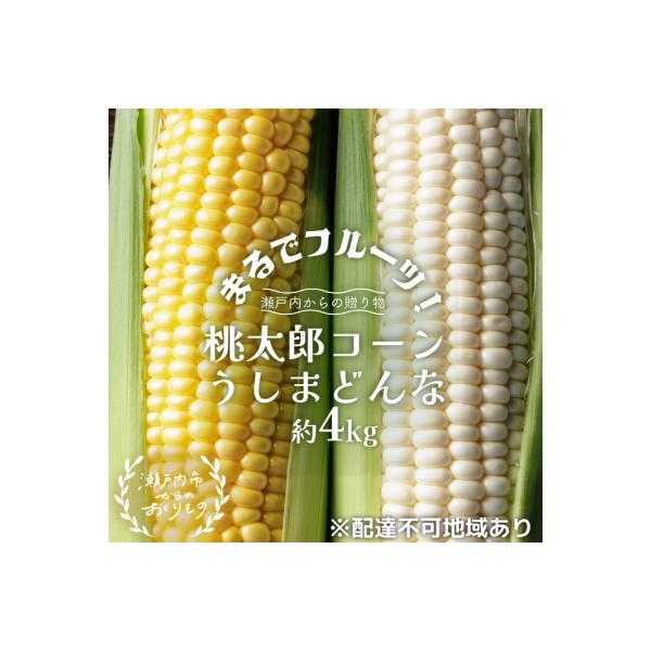 ■お礼品詳細　・賞味期限：出荷日より冷蔵7日　・配送方法：冷蔵配送　・事業者：株式会社高田農園　・備考：本数の指定、お届け日の指定、時間帯で午前中指定は申し訳ないですが、お受けできません。■お申し込み・配送・その他　・発送時期：2026年6...