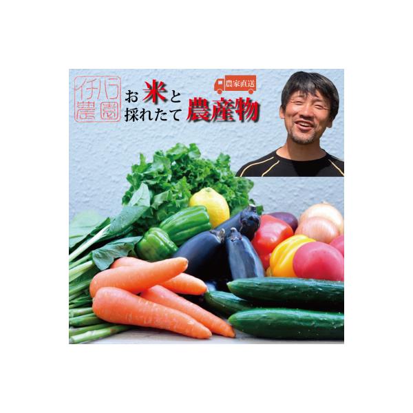 ■お礼品詳細　・配送方法：冷蔵　・提供事業者：市原農園■お申し込み・配送・その他　・発送時期：お申込み後1ヶ月程度で発送いたします。順次発送してまいりますが、年により収量・収穫時期が異なります。より良い状態でお届けするため、発送時期が遅れる...