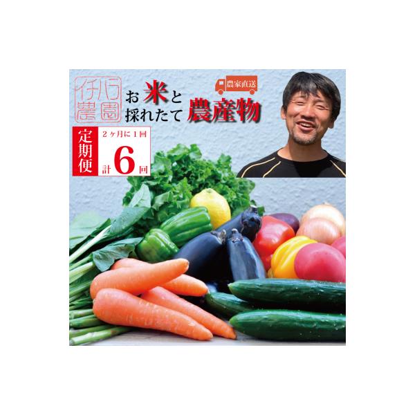 ■お礼品詳細　・配送方法：冷蔵　・提供事業者：市原農園■お申し込み・配送・その他　・発送時期：お申込み後1ヶ月程度で発送いたします。順次発送してまいりますが、年により収量・収穫時期が異なります。より良い状態でお届けするため、発送時期が遅れる...