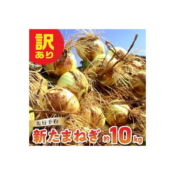 ■お礼品詳細　・【配送方法】：常温　・【返礼品提供事業者】：株式会社クリエーションWEB PLANNING　・【配送期間】：令和8年4月中出荷■お申し込み・配送・その他　・発送時期：令和8年4月中出荷（お届け時間帯指定可）　・申込受付期間：...