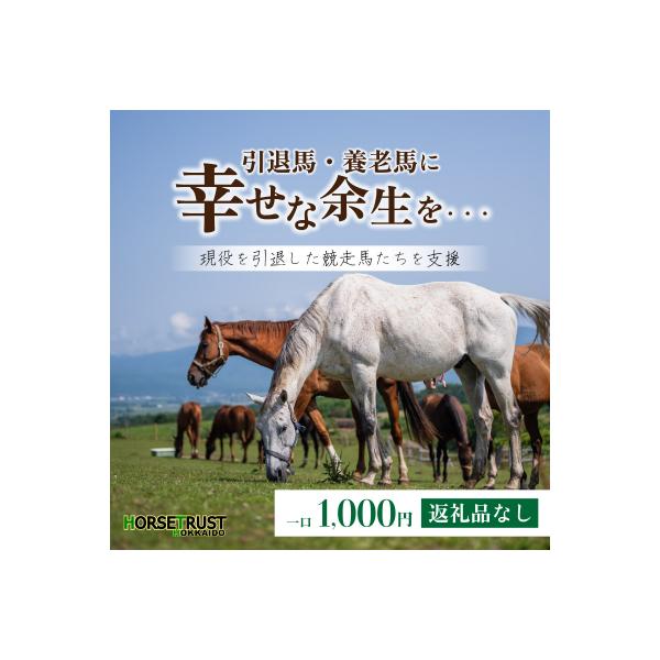 ふるさと納税 岩内町 【引退競走馬 余生支援】北海道 岩内町 ホーストラスト北海道支援 1000円コース F21H-569