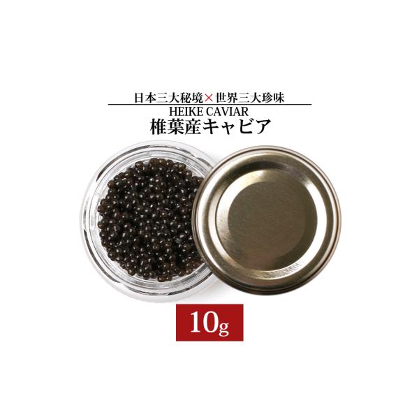 ふるさと納税 椎葉村 【訳あり】HEIKE CAVIAR 10g SZ-116