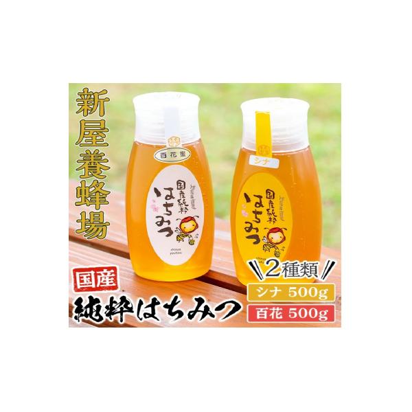ふるさと納税 曽於市 新屋養蜂場定番はちみつ2本セット(シナ・百花