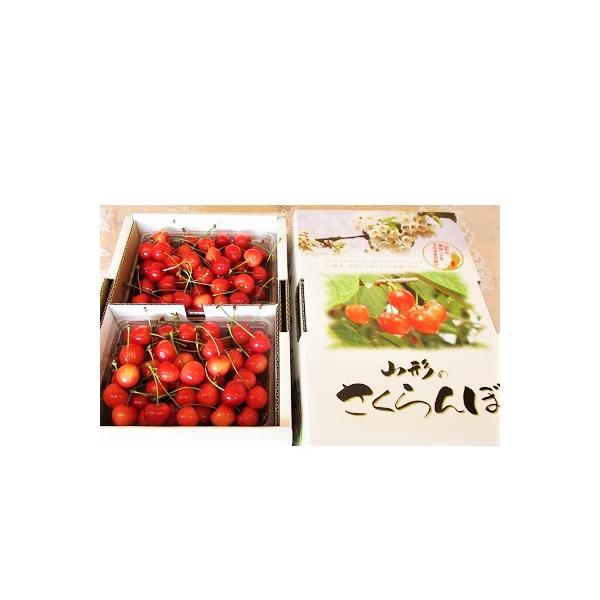 ■お礼品詳細　・配送方法：冷蔵便　・事業者：神来社農園■お申し込み・配送・その他　・発送時期：2026年6月上旬〜6月下旬迄※ご不在日が多く配達が困難な場合、お礼品や配送先の変更をお願いする場合がございます。 　・申込受付期間：2026年6...