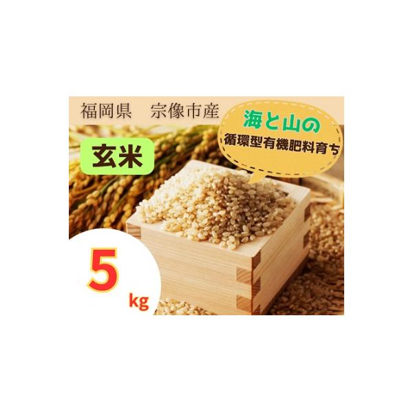 ふるさと納税 宗像市 循環型有機肥料で育った玄米【1】ゆめつくし【2】ぴかまる5kg【アグリCATS】_HA1439