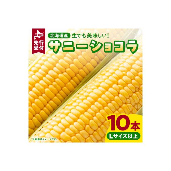 ■お礼品詳細　・容量：スイートコーン【サニーショコラ】10本入り(Lサイズ以上)　・消費期限：発送から冷蔵保存で2〜3日程度　・保存方法：茹でて熱いうちにキッチンラップで包み、冷ましてから冷蔵庫で保存してください。　・申込期日：〜2026年...